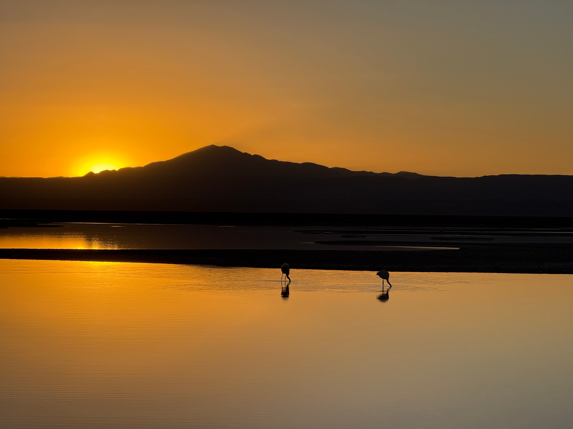 Atacama